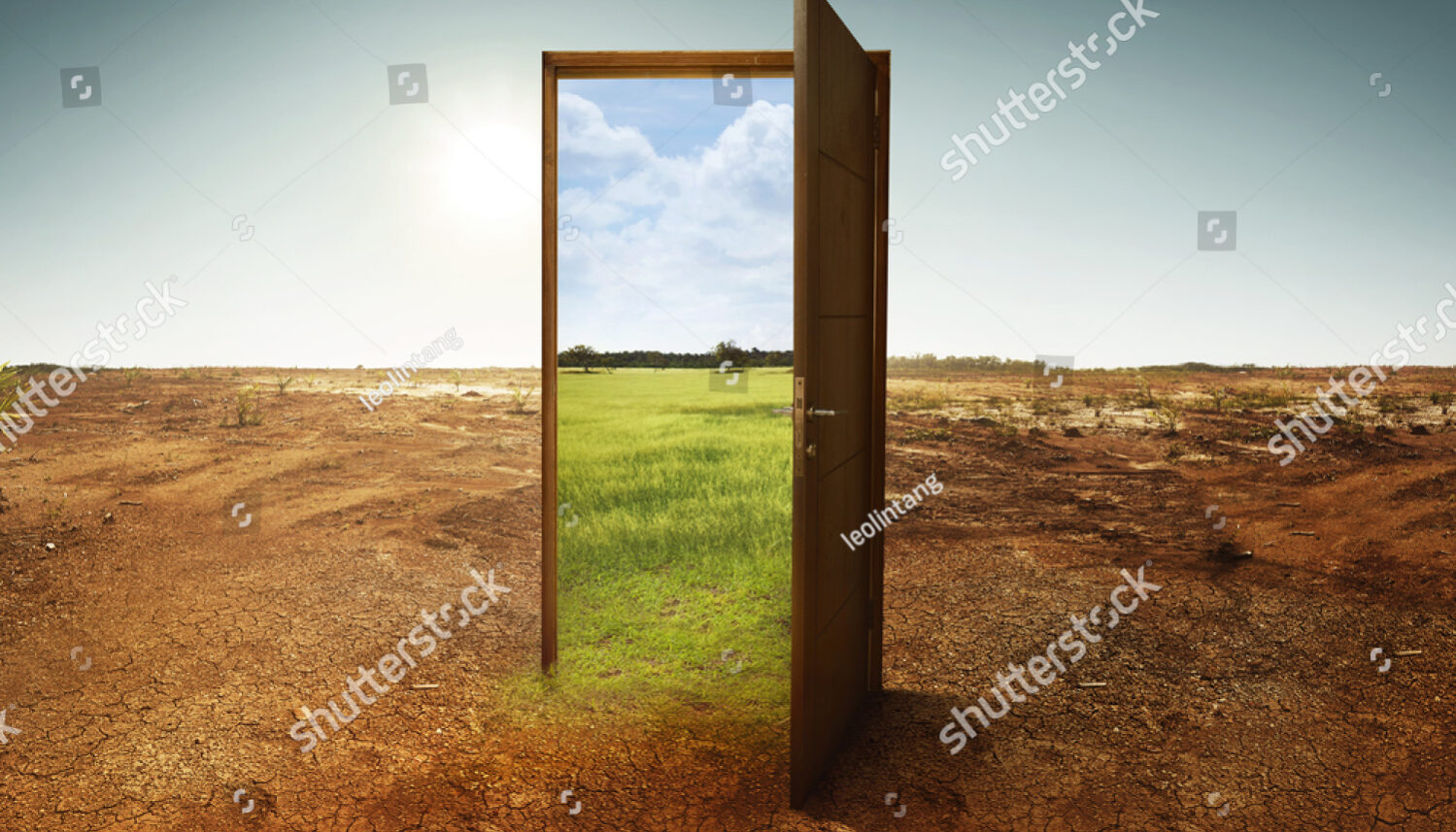 stock-photo-open-wooden-door-to-the-new-world-with-green-environment-climate-change-concept-574382113