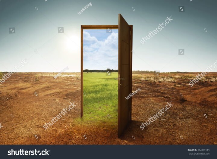 stock-photo-open-wooden-door-to-the-new-world-with-green-environment-climate-change-concept-574382113